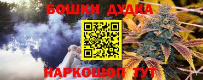 стаф Коммунар